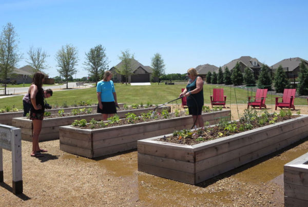 Light Farms community garden