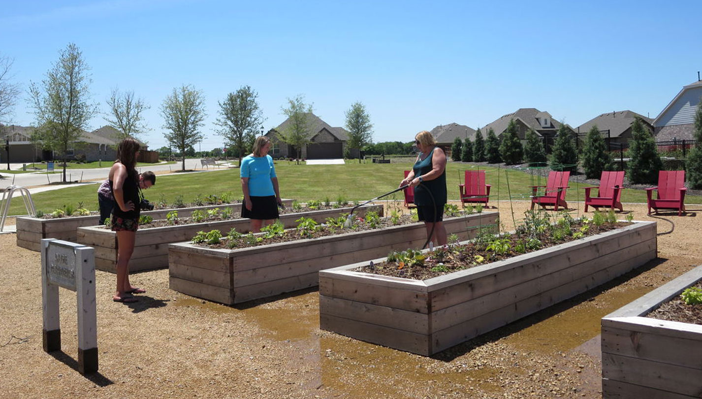 Light Farms community garden