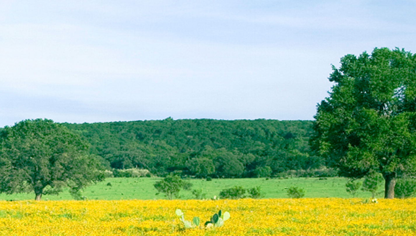 Green Meadows Celina, Texas